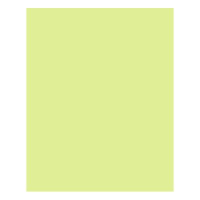Lamina para Pickguard 300 x 450 mm. Mod: PC-MG. Color: Green Mint. 3-ply 