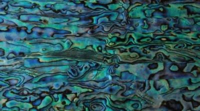 Pieza 100% plana de Abalone 23cm x14mm x 0.20mm Pieza 100% plana de Abalone 23cm x14cm x 0.20mm1