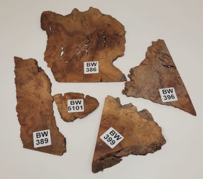 Set Unico REF: BW-386 de Raiz de Black Walnut1