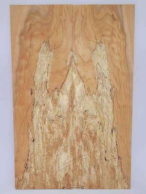 Top Unico REF: 4100 de Spalted Maple Especial1