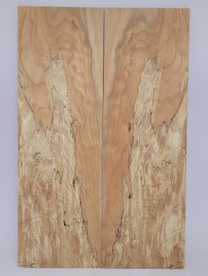 Top Unico REF: 4100 de Spalted Maple Especial