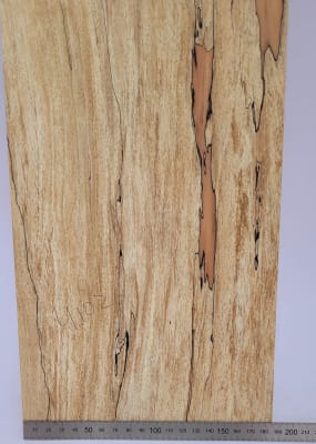 Top Unico REF: 4102 de Spalted Maple Especial