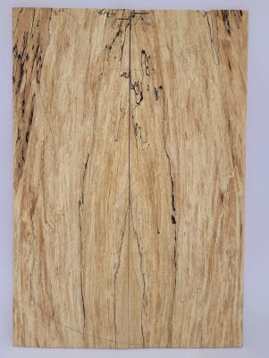 Top Unico REF: 4102 de Spalted Maple Especial
