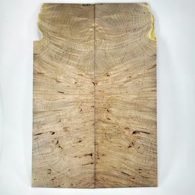 Top Unico REF 4200 de Burl Maple Canadiense1