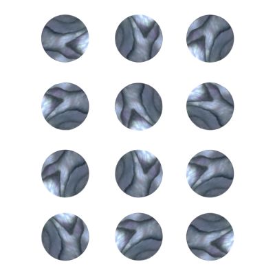 Dots de Abalone de 6 mm ( 10 pcs )1