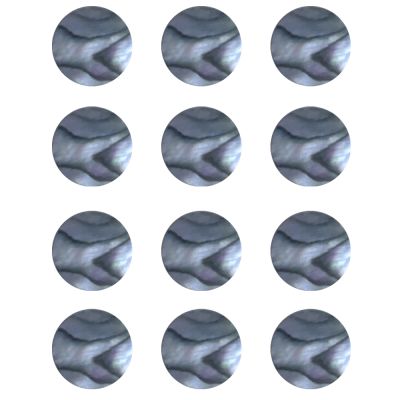 Dots de Abalone de 5 mm ( 12 pcs )1