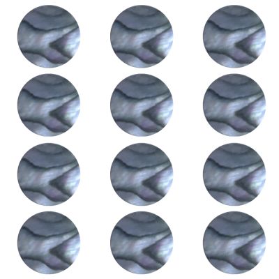 Dots de Abalone de 7 mm ( 12 pcs )1