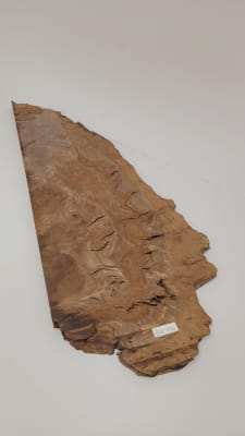 Top Unico REF: BW-333 de Raiz Black Walnut