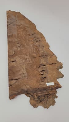 Top Unico REF: BW-334 de Raiz Black Walnut