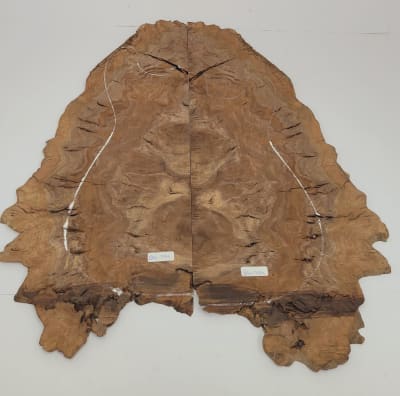 Top Unico REF: BW-334 de Raiz Black Walnut1