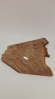 Pieza Unica REF: BW-345 de Raiz de Black Walnut para Artesania y Tallado1