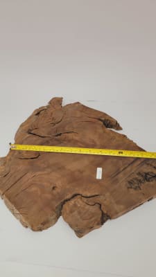 Pieza Unica REF: BW-360 de Raiz de Black Walnut para Artesania y Tallado1