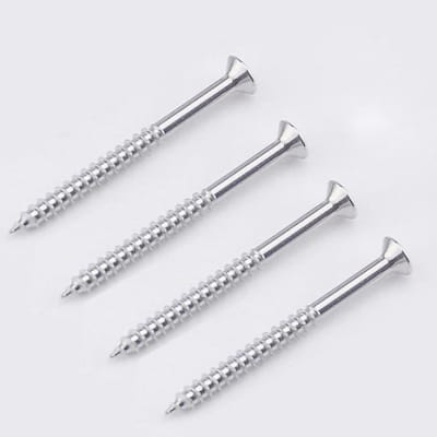 Tornillos para Neckplate. Mod: Neck-C. Chrome ( 4 pcs)1