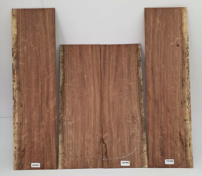 Set Unico REF: TZA-2810 de Tzalam Mexicano Especial1