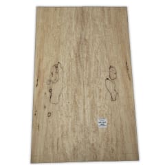 Top Unico MS-1101 de Spalted Maple para Bajos y Guitarras Electricas Calidad Especial