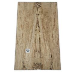 Top Unico MS-1103 de Spalted Maple para Bajos y Guitarras Electricas Calidad Especial