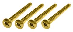 Tornillos para Neckplate. Mod: TS-03. Gold (4 pcs)