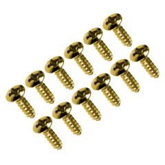 Set de Tornillos para Pickguard. Gold. Mod: TS-01