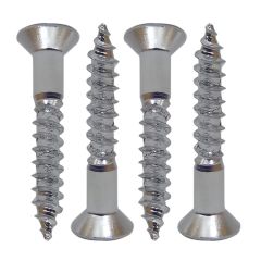 Set de Tornillos para Puente de Telecaster. Mod: WS-09. Color: Chrome 