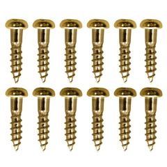 Tornillos para Clavijero. Gold WS-02 (12 pcs)