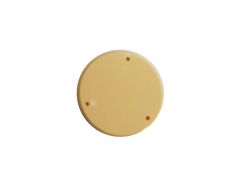 Back Plate Switch para Gibson Les Paul. Beige