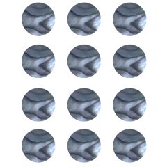 Dots de Abalone de 6 mm ( 12 pcs )
