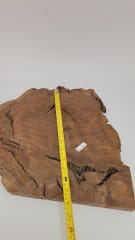 Pieza Unica REF: BW-364 de Raiz de Black Walnut para Artesania y Tallado