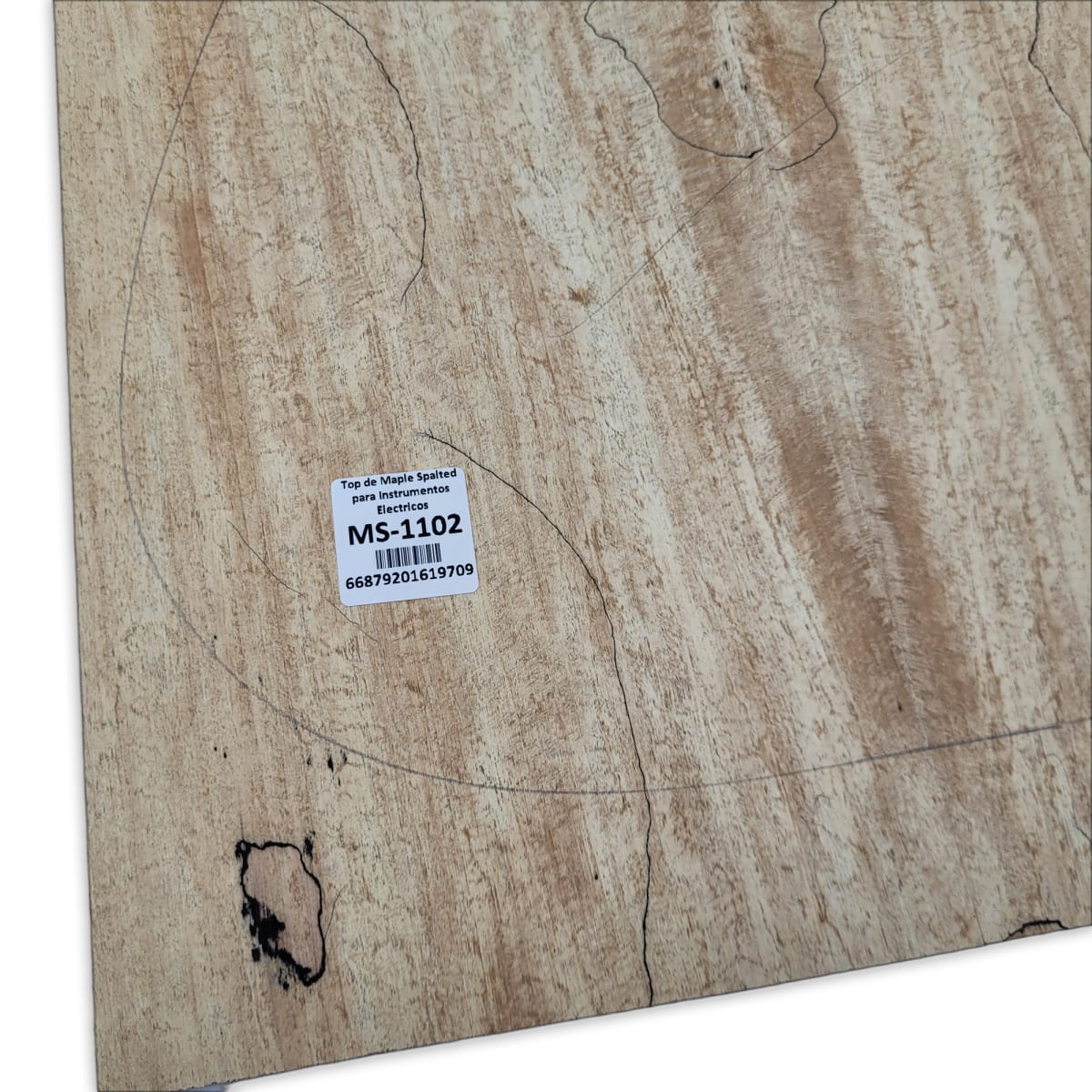 Top Unico MS-1102 de Spalted Maple para Bajos y Guitarras Electricas Calidad Especial7