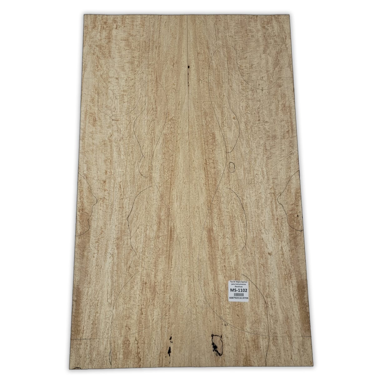 Top Unico MS-1102 de Spalted Maple para Bajos y Guitarras Electricas Calidad Especial 0