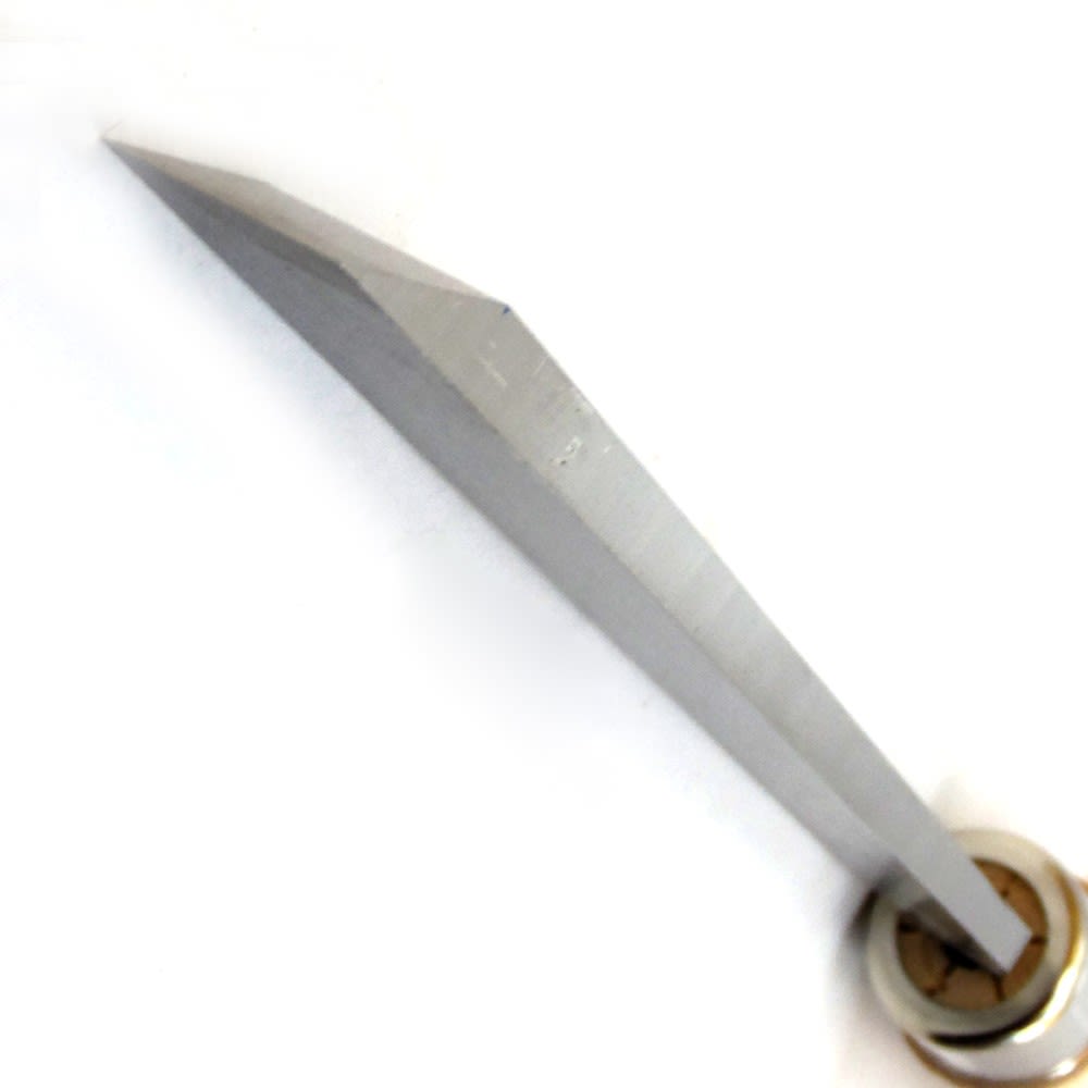Gubia 