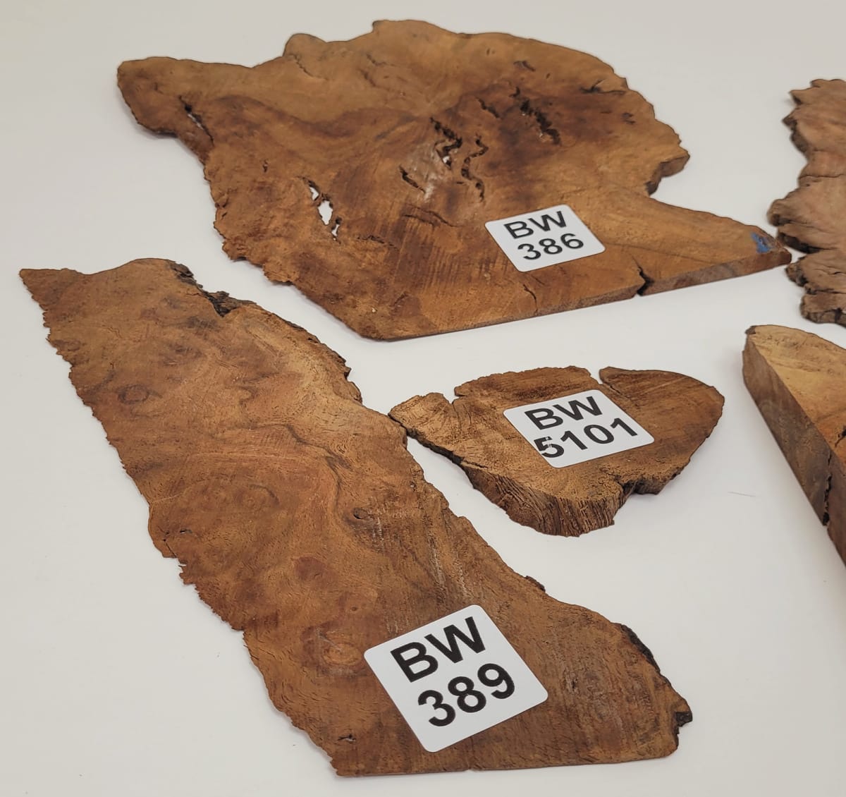 Set Unico REF: BW-386 de Raiz de Black Walnut3