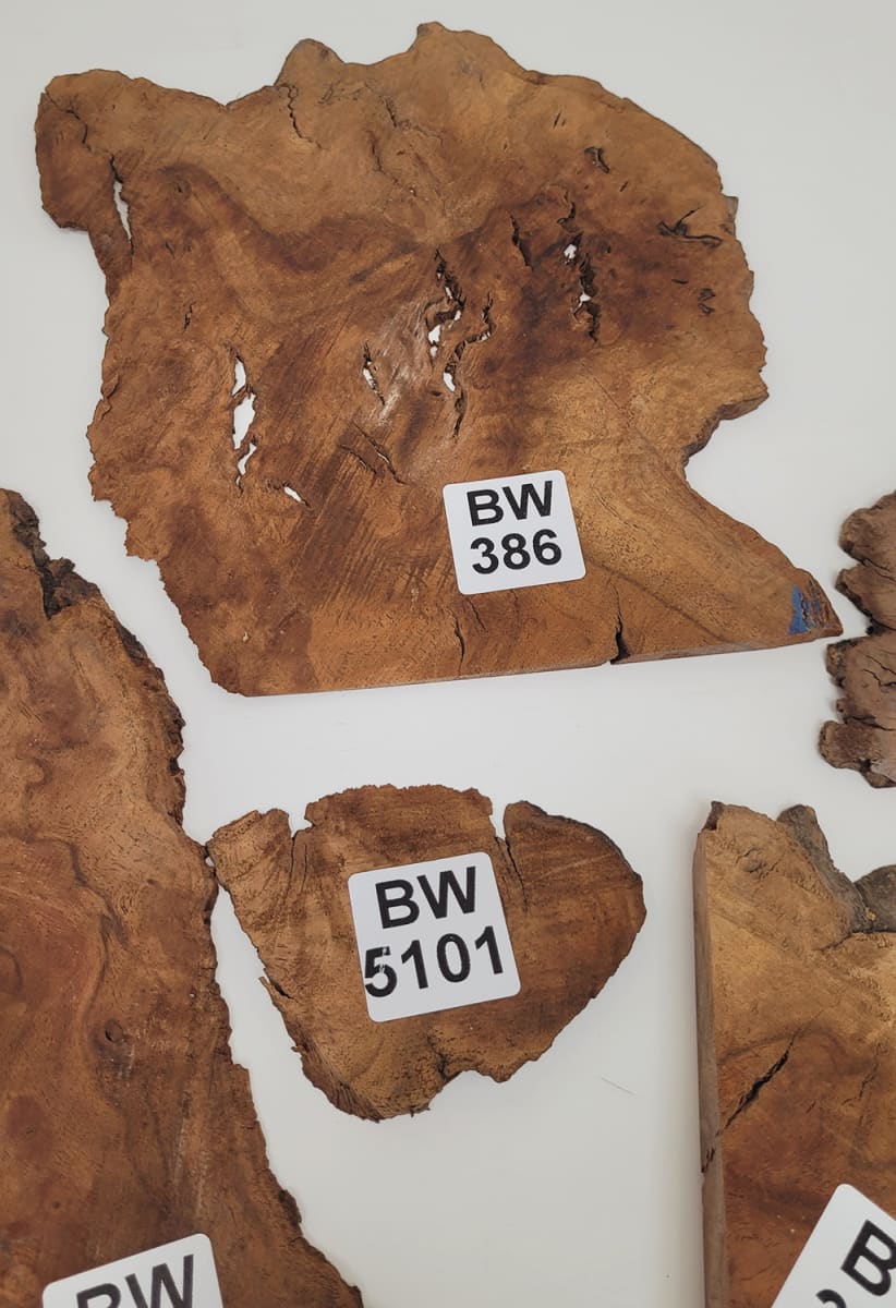 Set Unico REF: BW-386 de Raiz de Black Walnut4