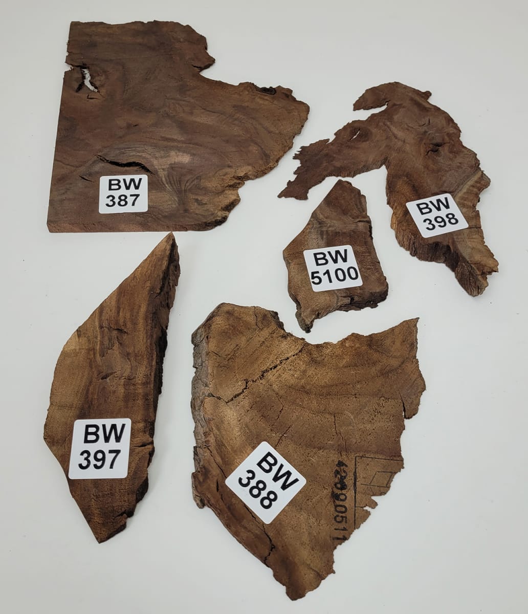 Set Unico REF: BW-387 de Raiz de Black Walnut5