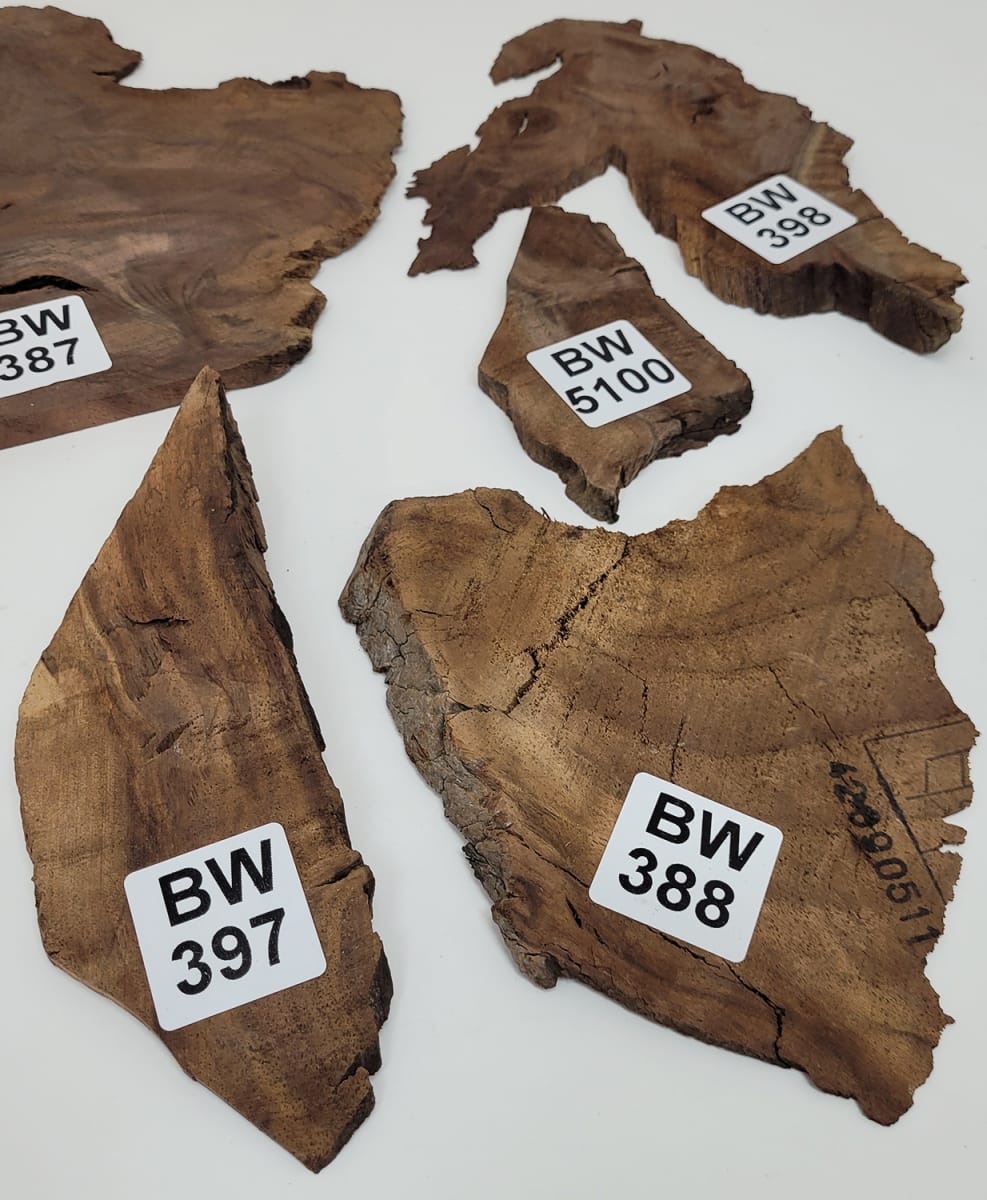 Set Unico REF: BW-387 de Raiz de Black Walnut2