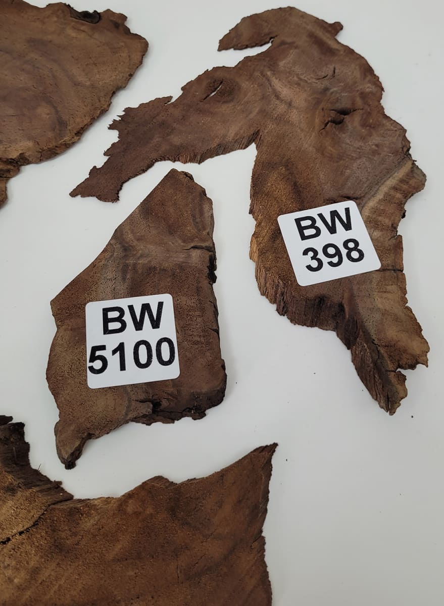 Set Unico REF: BW-387 de Raiz de Black Walnut3