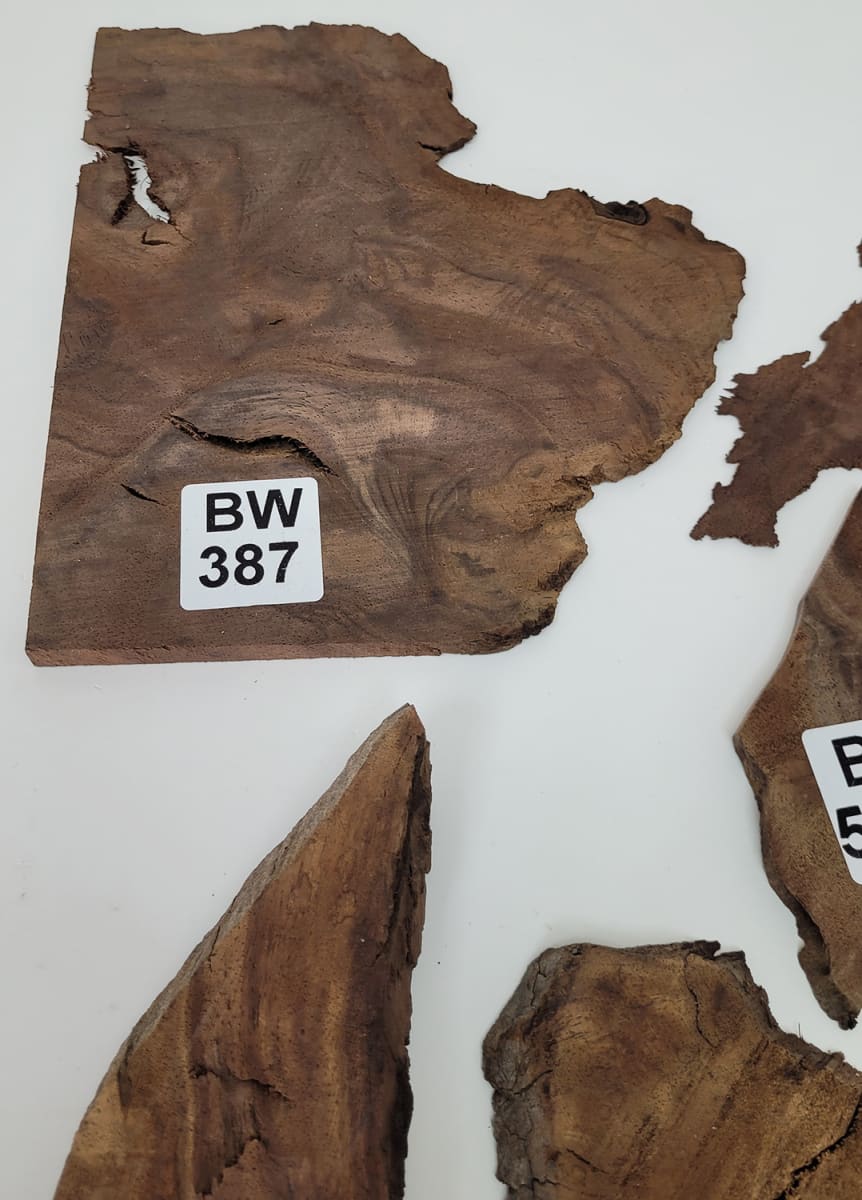 Set Unico REF: BW-387 de Raiz de Black Walnut4