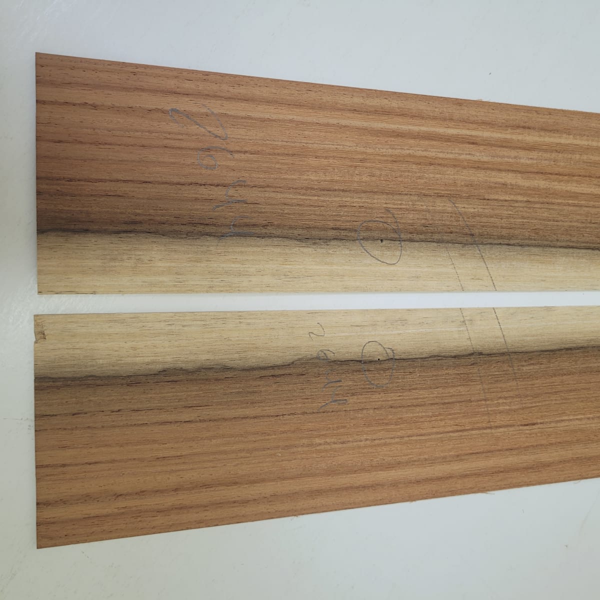 Set de Aros y Fondos de Machiche Mexicano para Instrumentos Pequeños MACH-2644 Con detalles4