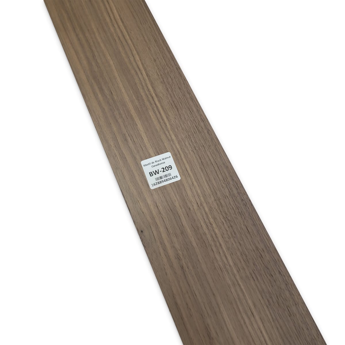 Mastil BW-209 de Black Walnut Especial Radial para Bajo6