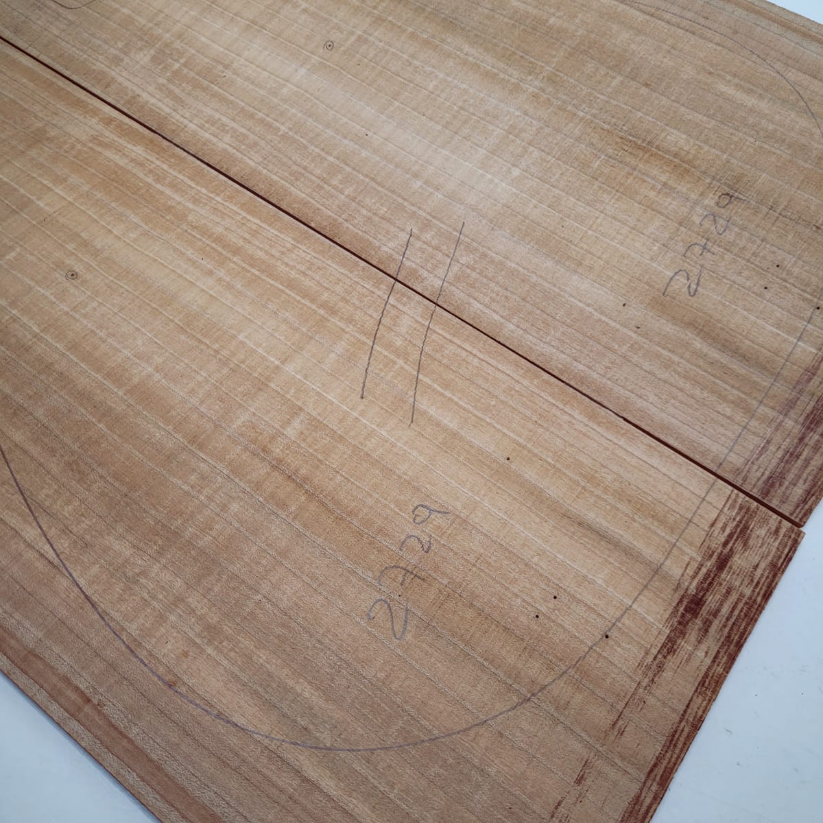 Top Unico REF: 2729 de Maple Roasted Quilt Torrefied Flameado AAA6