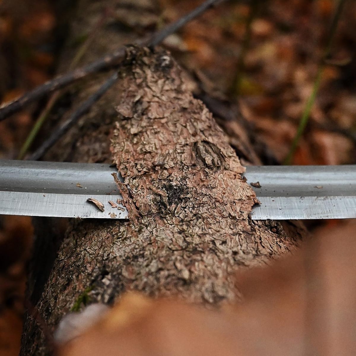 Desbastador Curvo 4002 Two Cherries de 250 mm de Ancho con Dos Mangos5