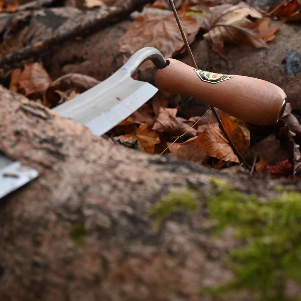 Desbastador Curvo 4002 Two Cherries de 250 mm de Ancho con Dos Mangos4