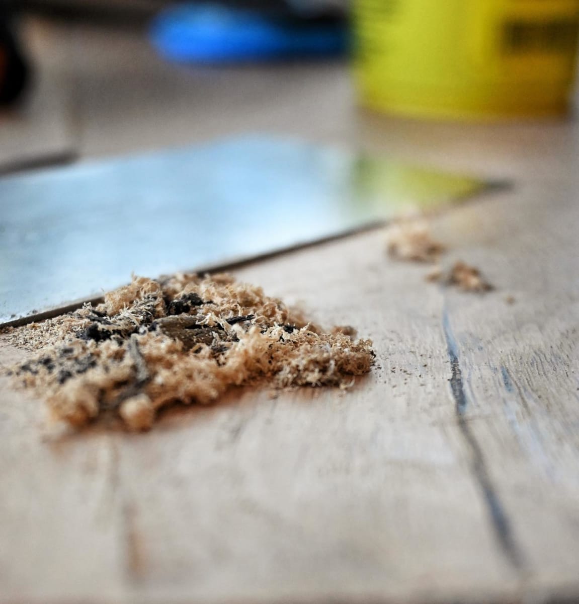 Rasqueta 3800 Rectangular de 0.5 mm de espesor Two Cherries4