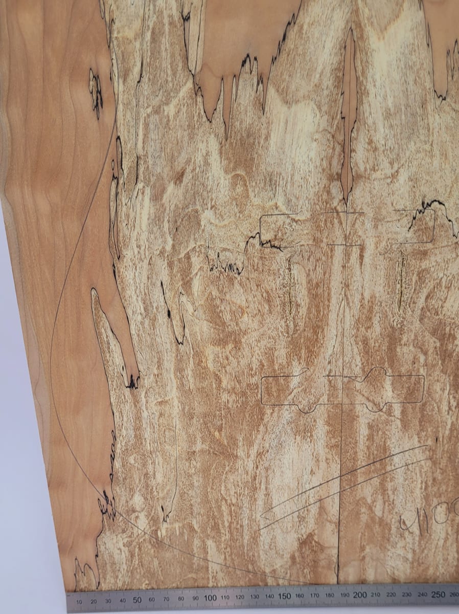 Top Unico REF: 4100 de Spalted Maple Especial4