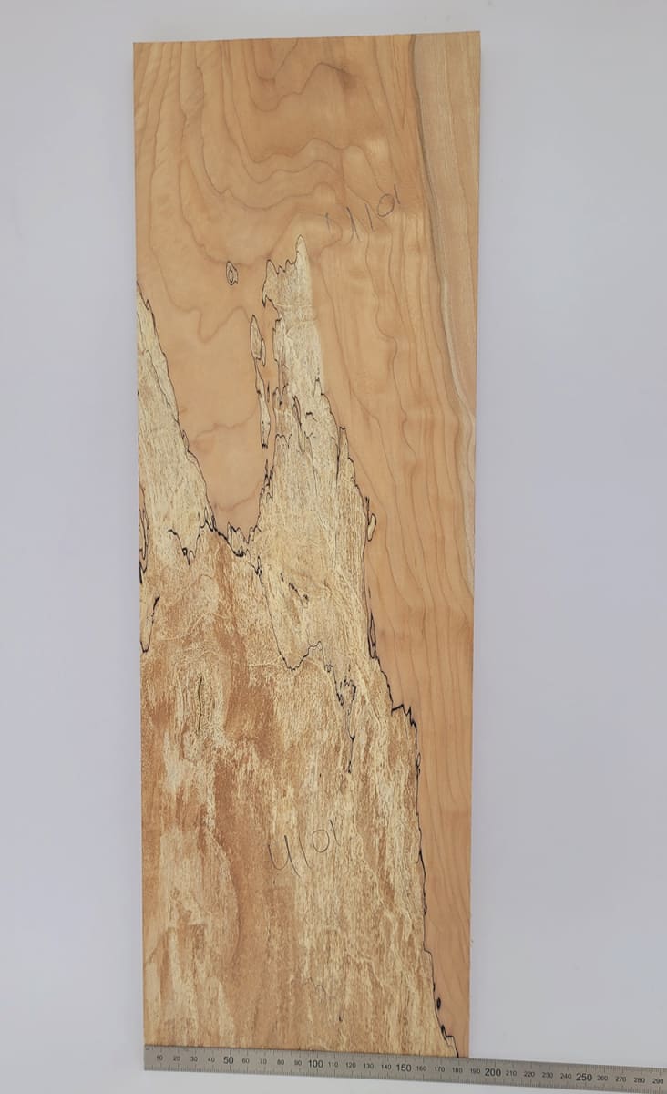 Top Unico REF: 4101 de Spalted Maple Especial12