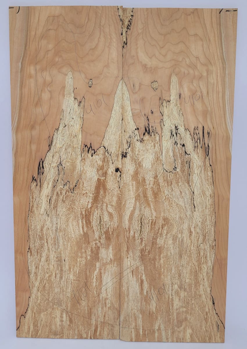 Top Unico REF: 4101 de Spalted Maple Especial3