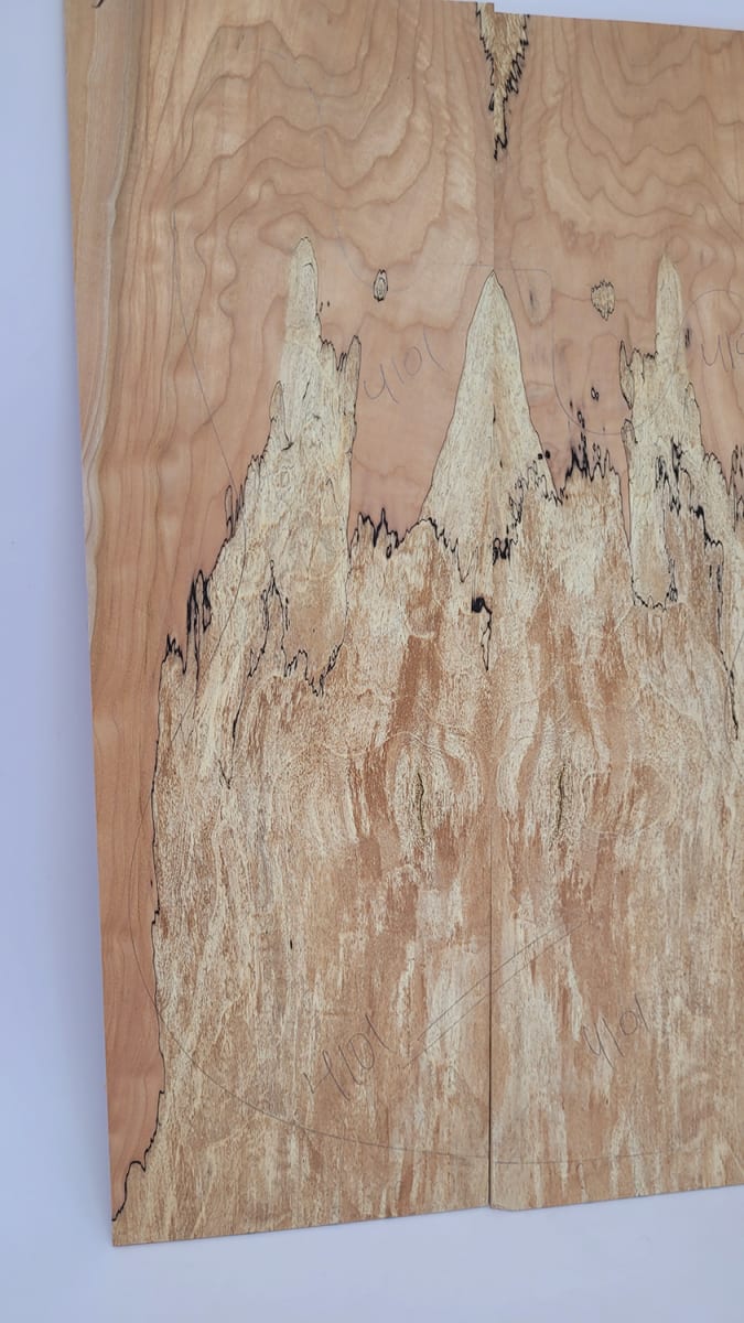 Top Unico REF: 4101 de Spalted Maple Especial11