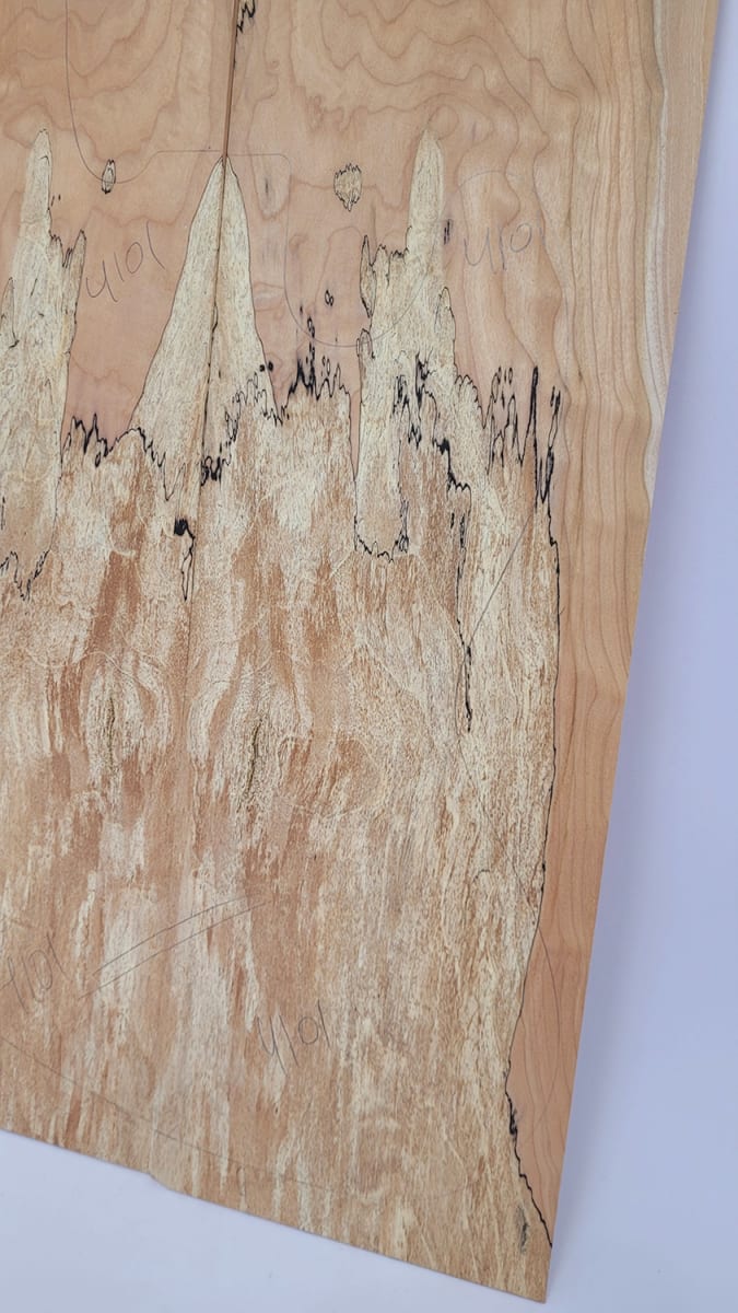 Top Unico REF: 4101 de Spalted Maple Especial10