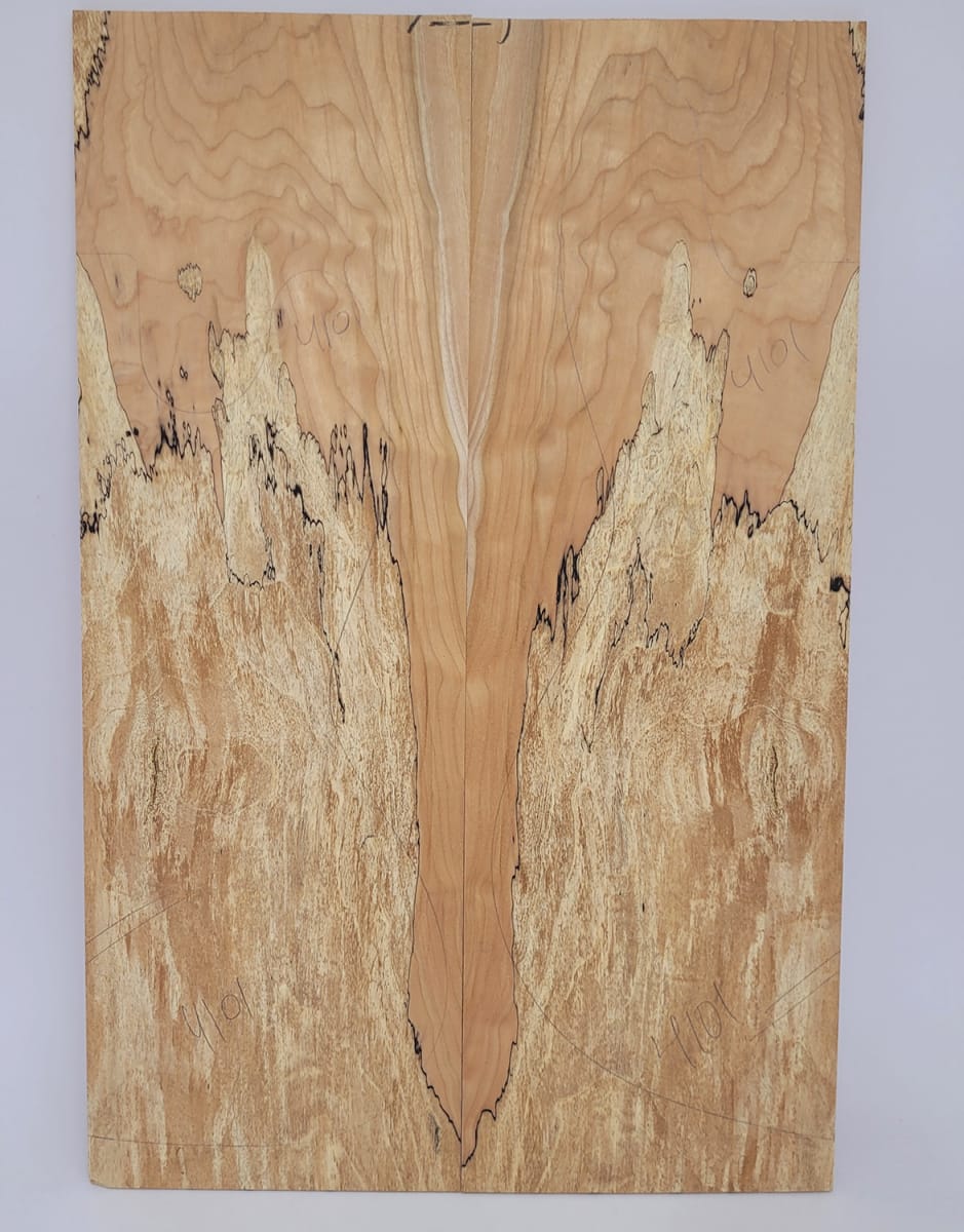 Top Unico REF: 4101 de Spalted Maple Especial8