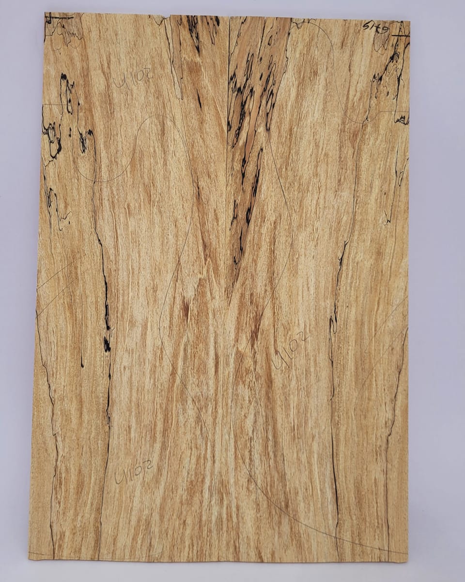 Top Unico REF: 4102 de Spalted Maple Especial4