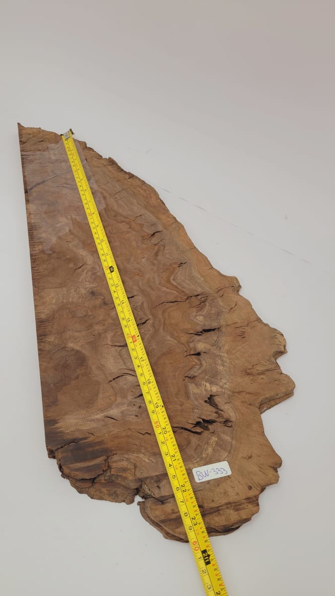 Top Unico REF: BW-333 de Raiz Black Walnut10